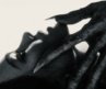 Movie Review: Nosferatu