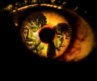 Official Trailer: Yellow Eyes